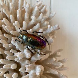 Metallic beetle broach pin